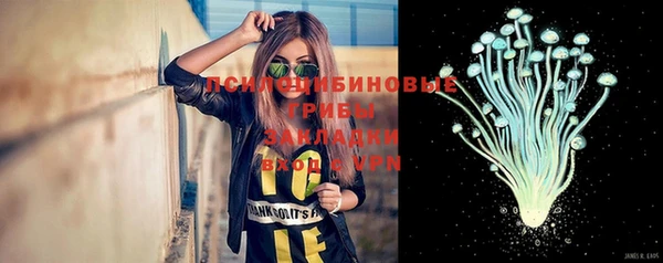 тгк Верея