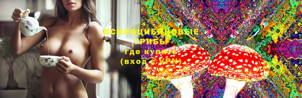 марки nbome Бородино
