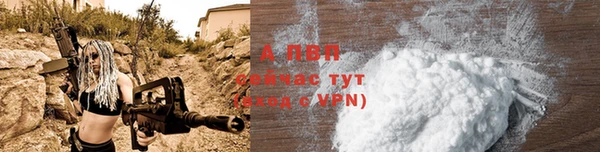 тгк Верея