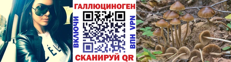Псилоцибиновые грибы прущие грибы  купить   Ворсма 